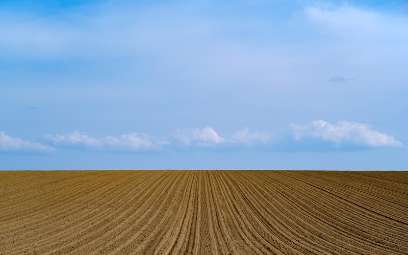 Olzha Agro засеет 324 тыс. гектаров