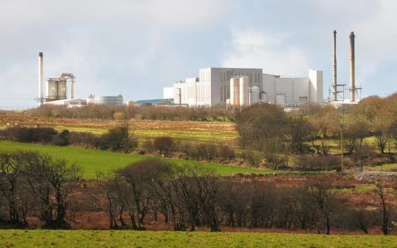 Saputo Dairy UK, Hayvanlara Zarar Verme İddiaları Nedeniyle Süt Toplamayı Askıya Aldı