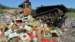Казахстан по примеру России намерен уничтожать «опасные» продукты