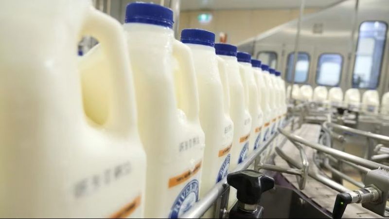 New Automated Systems Set to Reduce Dairy Industry Waste