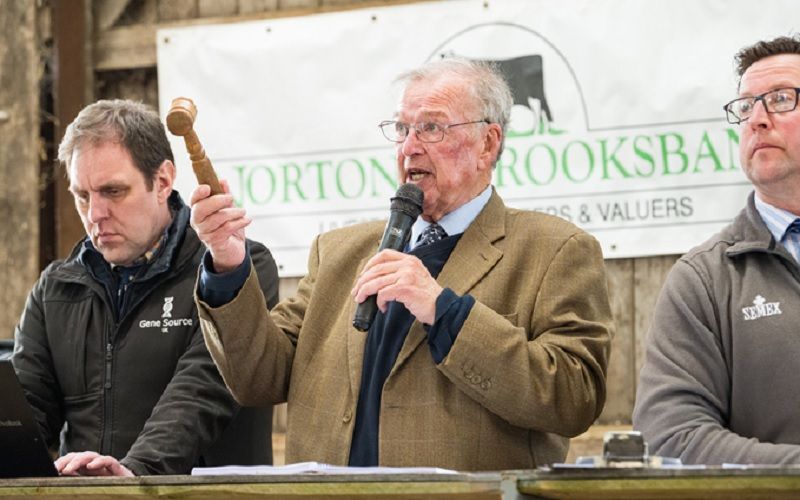 Chris Norton, veteran auctioneer, reflects on decades in the dairy industry