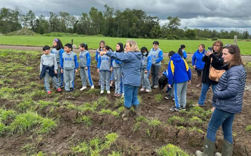 Aproleche Osorno Encourages Agricultural Vocations among Youth