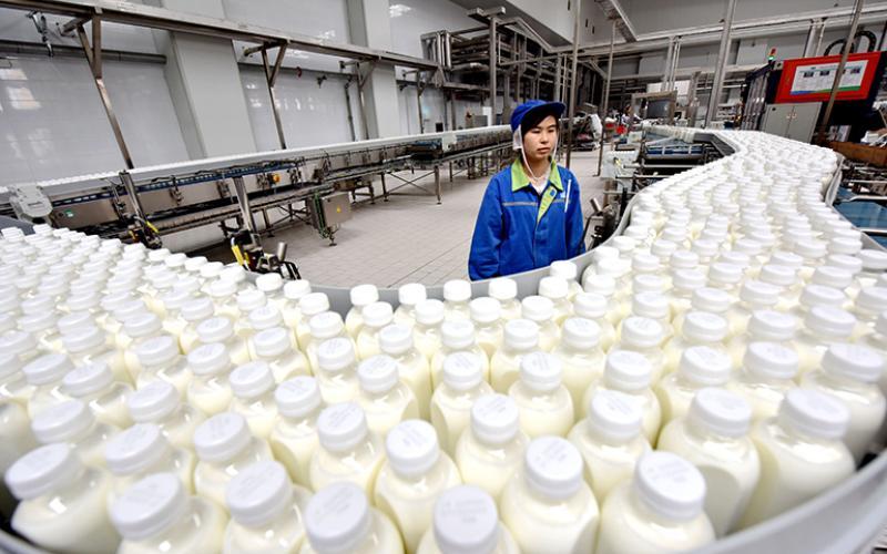 China Faces 42 Million Tonne Milk Surplus Amid Declining Demand