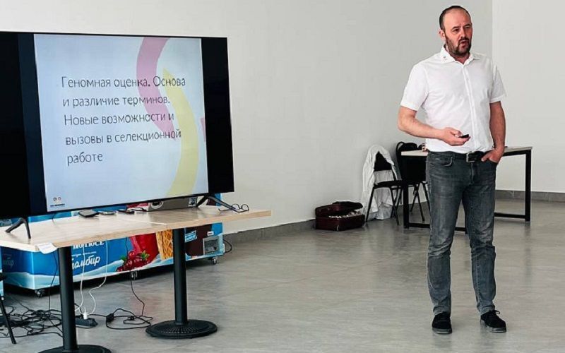 Геномика и контроль качества: немецкая модель селекции как система управления рисками