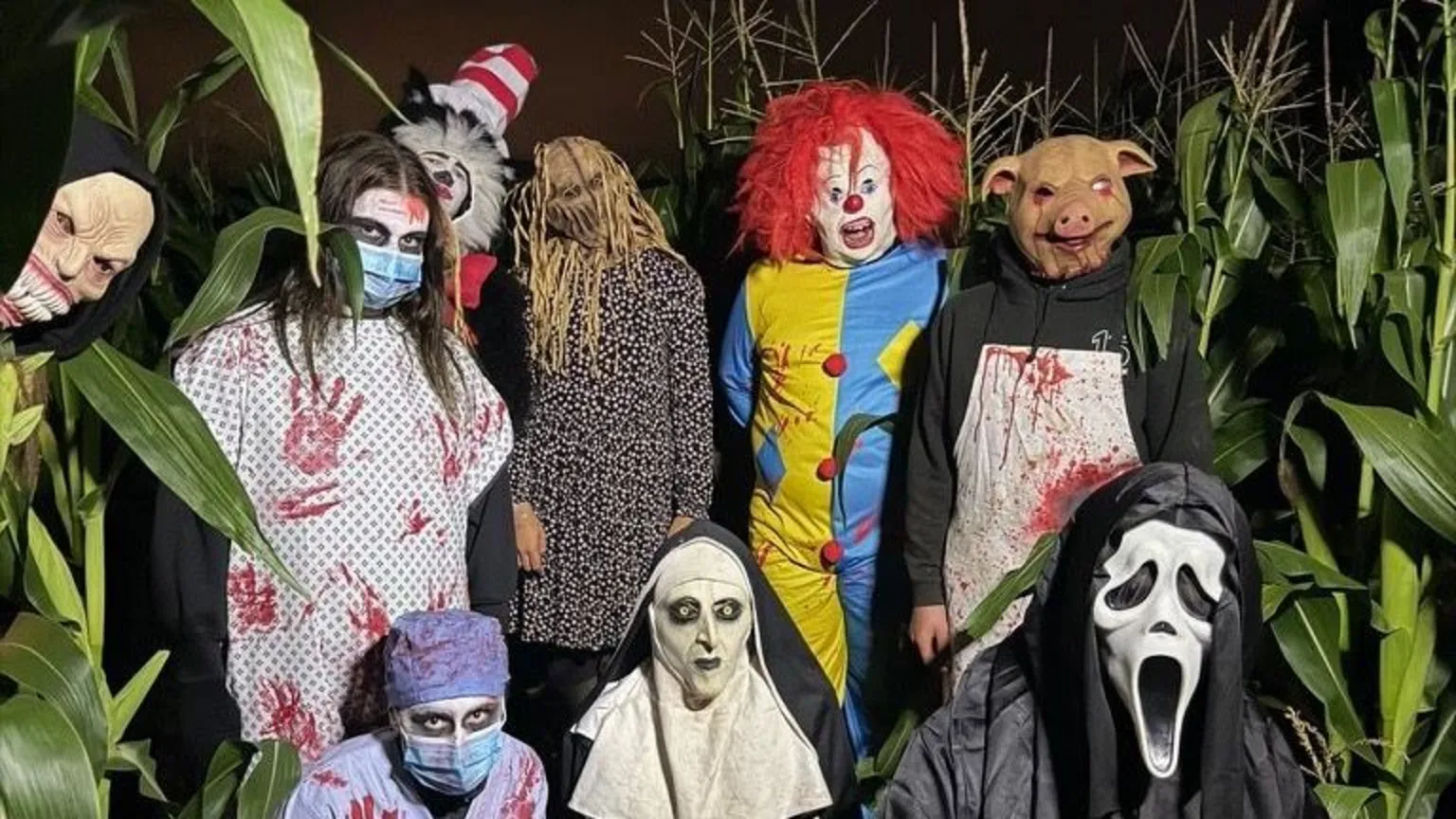 Caverswall Creamery’s Halloween maze draws thousands as visitor numbers grow
