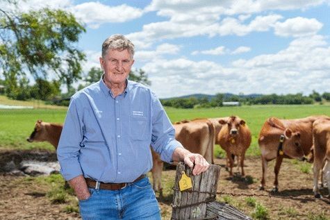 Australia: Queensland Dairy Farm Innovates with Cost-Effective Cooling Solution