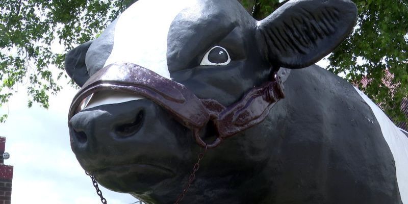 Elsie Dairy Festival Celebrates Local Community and Economy