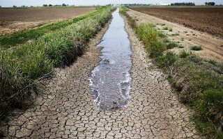 ФАО: из-за нехватки воды садоводство в Узбекистане может быть сильно ограничено в ближайшие годы