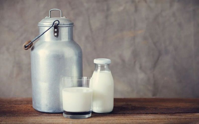 Dairy Productivity of Cows in Russia Increased by 4.5% Over 9 Months of 2025