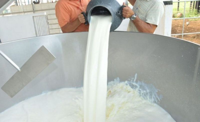 La investigación sobre la cadena de suministro de leche de Rondônia recibe 30 días adicionales