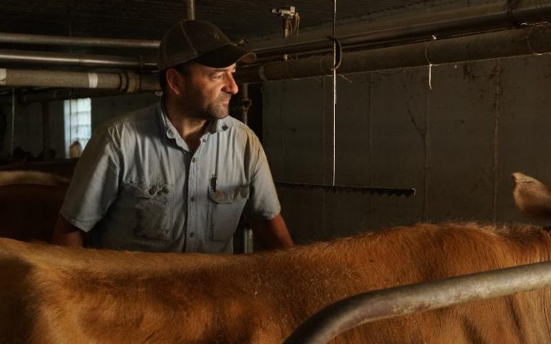 Wisconsin Dairy Industry Faces Challenges from Tariffs and Immigration Raids