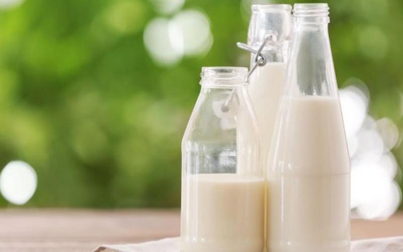 Patanjali, Hindistan Süt Ürünleri Sektöründe Katı Kalite Protokollerini Uyguluyor