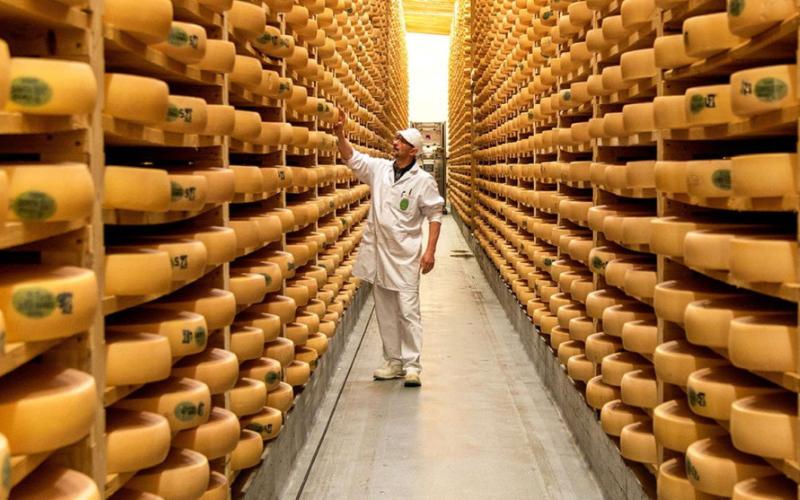 Ukrainian Companies Invest in New Hard Cheese Production Facility