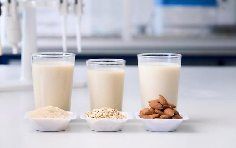 Swiss Study Shows Plant-Based Drinks Lack Nutritional Parity with Cow's Milk