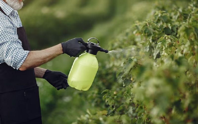 АХ Olzha Agro увеличил урожайность на 2,5 ц/га благодаря жидким удобрениям