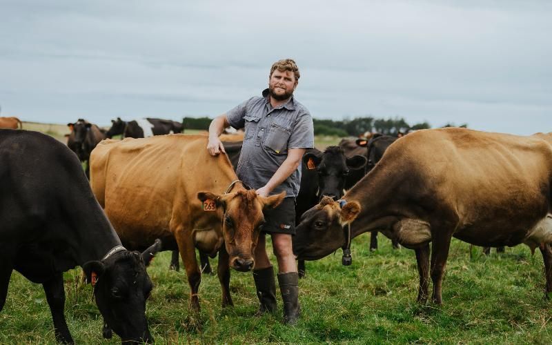 96% of Fonterra Farmers Back Lactalis Sale