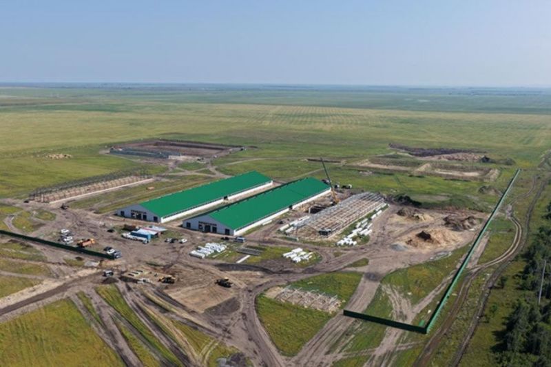 Новые молочные фермы увеличат производство в Костанайской области Новые молочные фермы увеличат производство в Костанайской области