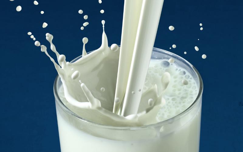 智利奶粉价格上涨，乳制品价格呈现多样化趋势