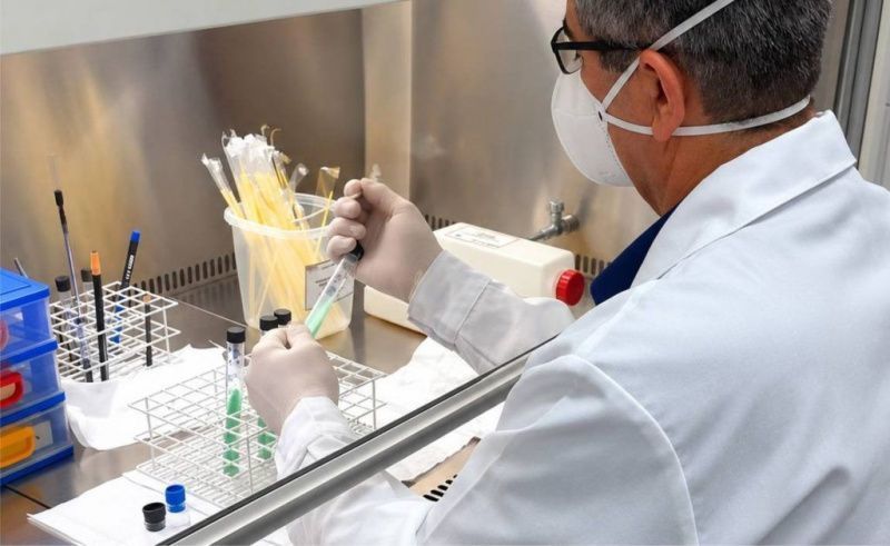 Brazilian Patent Cuts Cattle Tuberculosis Diagnostic Costs