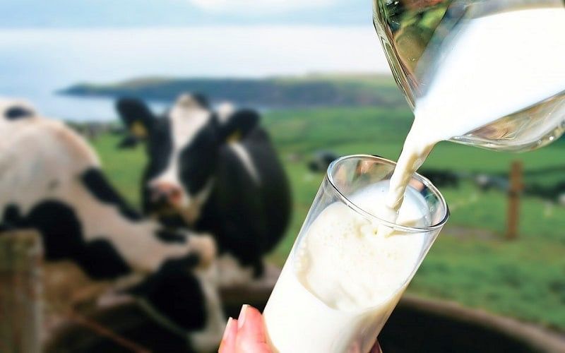 Donald Trump Intensifies Criticism of Canada’s Dairy Policies