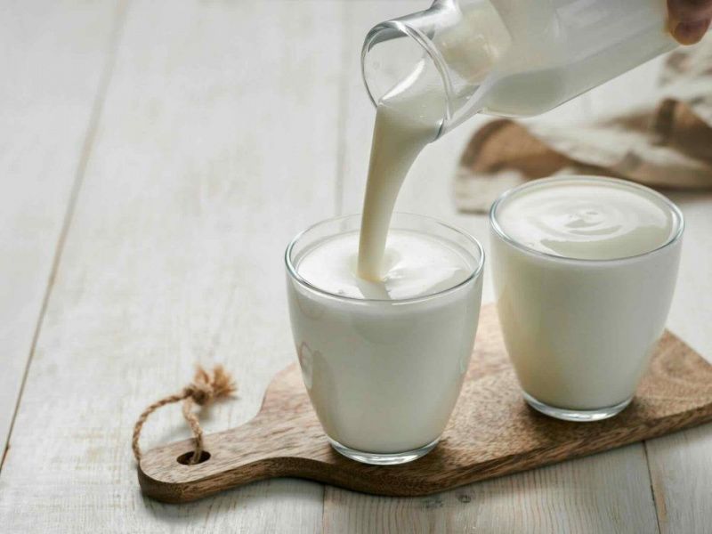 Hydrosol and Planteneers present new protein and clean-label products