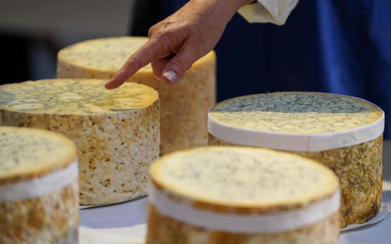 Cheese Scandal: Maximum Alert Over Fraud