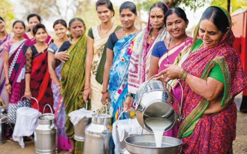 Dvara KGFS Partners with UP Milk Producer to Empower Women Dairy Farmers