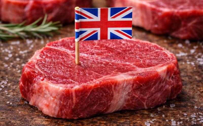 Las exportaciones de productos lácteos y carne del Reino Unido alcanzan un récord de 4 mil millones de libras en 2025