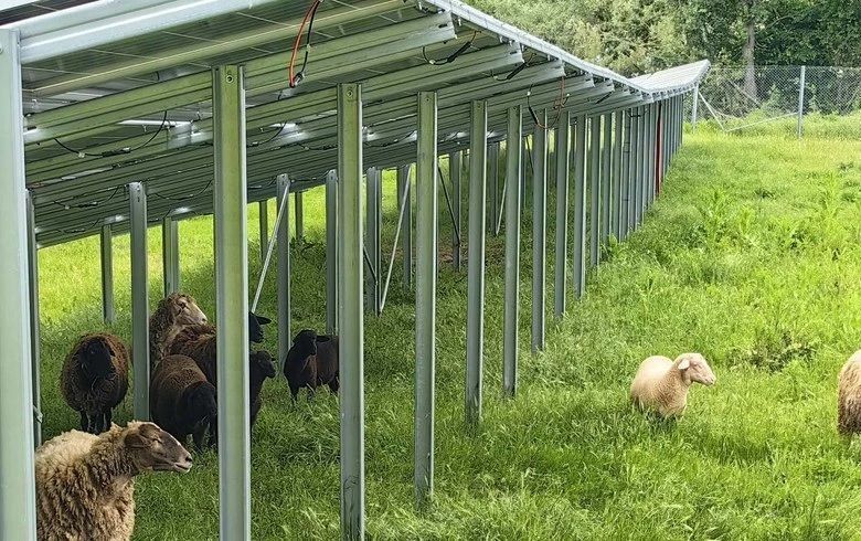 Fonterra firma segundo acuerdo de energía renovable con Anza en Nueva Zelanda