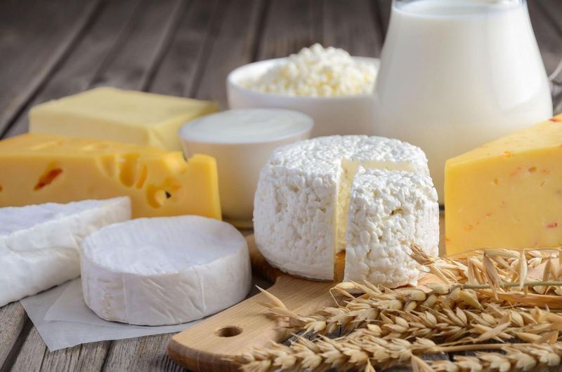 Cheese and Curd Exports from Russia Increased by 17% in January-August 2025, Exceeding $110 Million