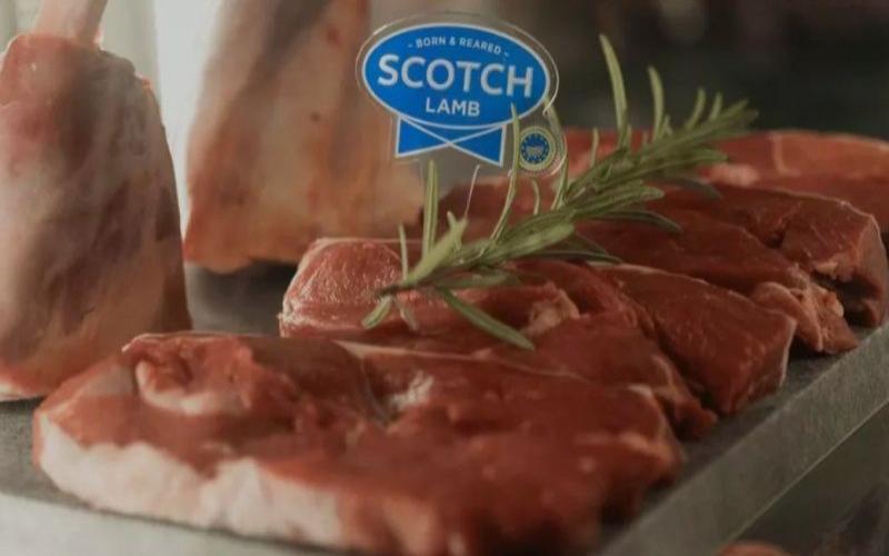 British Red Meat and Dairy Exports: Seizing Opportunities in the EU