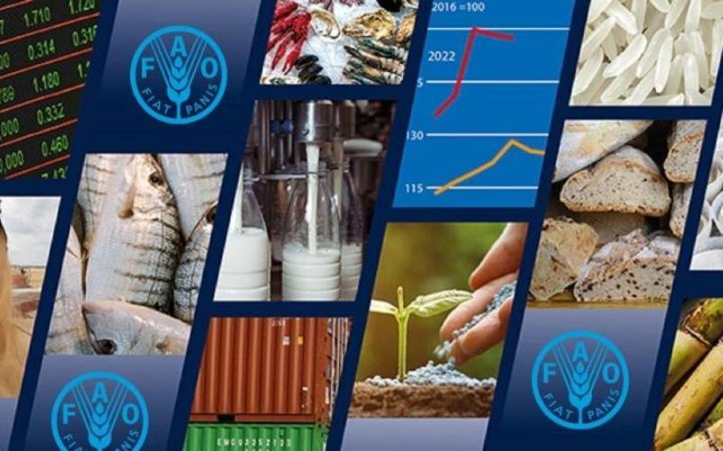 ФАО: мировые цены на продовольствие в 2025 году выросли на 4,3%