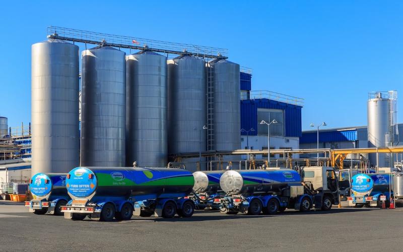 Fonterra'nın 150 Milyon Dolarlık Güç Hamlesi: UHT Krema Üretimi Üç Kat Artıyor