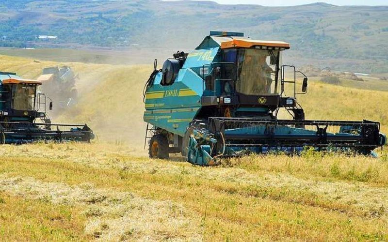 Аналитики советуют вкладываться в сельское хозяйство