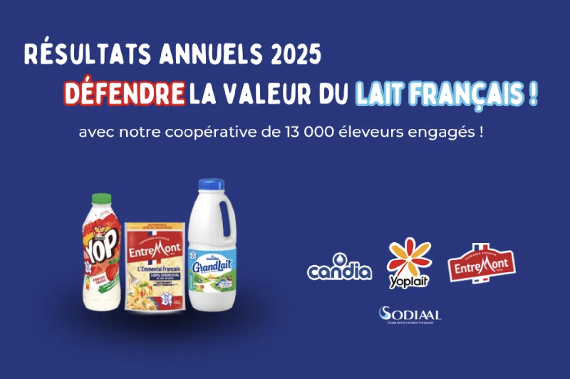 Sodiaal Increases Revenue to €6.2 Billion and Invests €160 Million in Production Development
