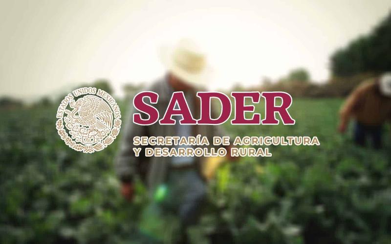 SADER Realigns Agricultural Programs for Efficiency