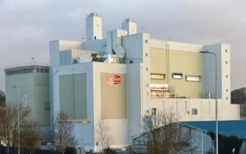 Dairygold Maintains Milk Price and Delays Shareholding Deductions for 2026