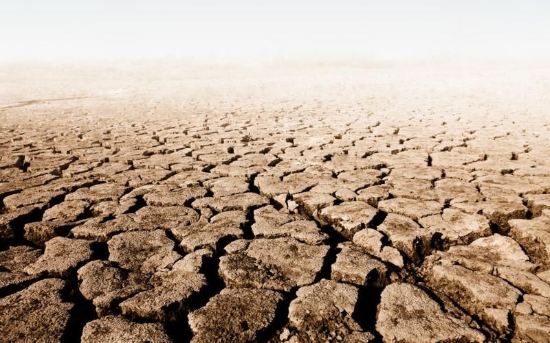 Dairies face third drought year