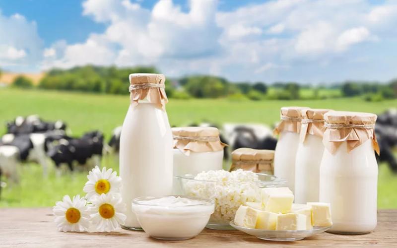 Global Dairy Market Sees Positive Trends Amid Price Stabilization
