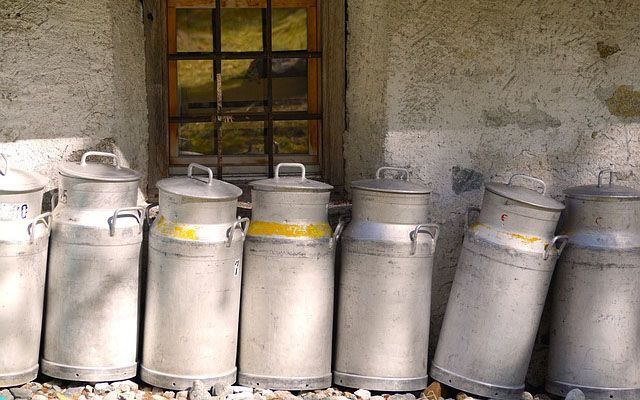 Индекс цен GDT вырос на 1,7 %