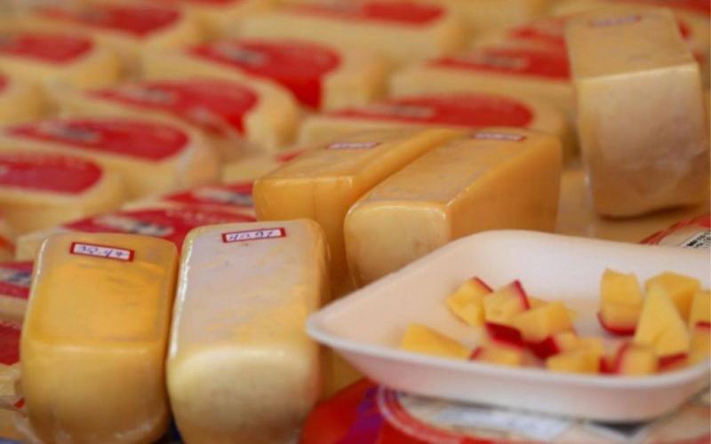 Santa Catarina Court Upholds Tax Incentives for Local Dairy Production