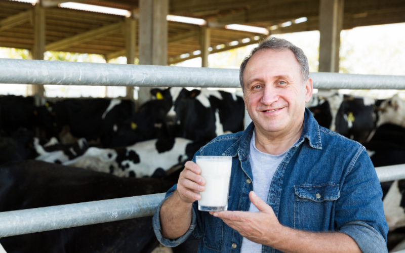 Impact of High Somatic Cell Count on Dairy Farm Profitability
