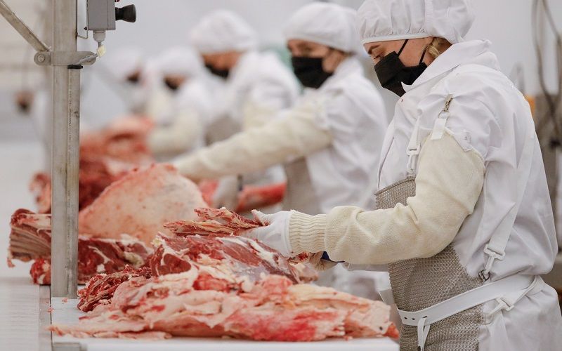 В РК очень низкие требования к безопасности продукции животноводства - Жигули Дайрабаев