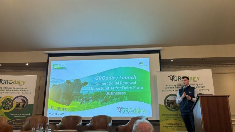 Teagasc, %38'lik süt çiftliği devir açığını kapatmak için GROdairy programını başlattı
