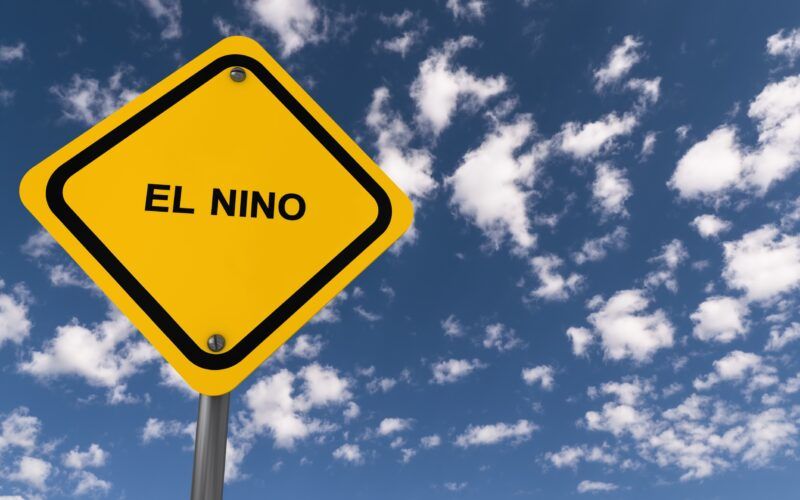 New Zealand dairy farmers face rising drought risk as El Niño dries Northland