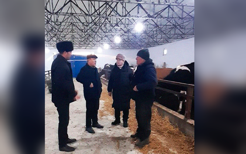 В животноводческих фермах Навоийской области изучают условия зимовки  