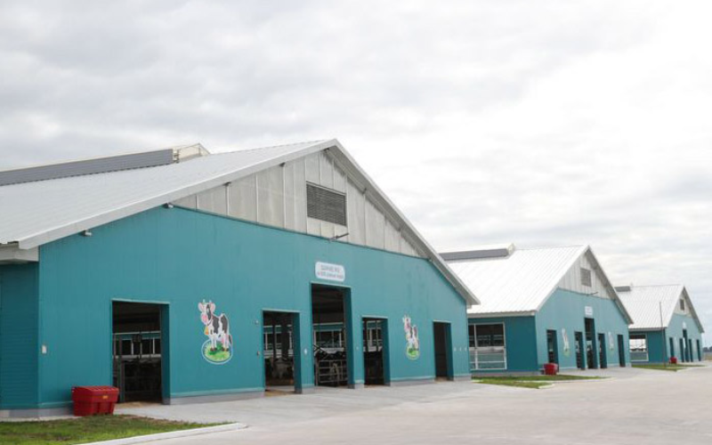 Почему в Казахстане сокращается число фермерских хозяйств на фоне масштабных госинвестиций? Почему в Казахстане сокращается число фермерских хозяйств на фоне масштабных госинвестиций?