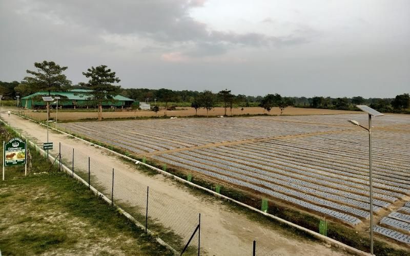 Goodricke Grubu, Çaydan Premium Süt Ürünlerine Çeşitleniyor