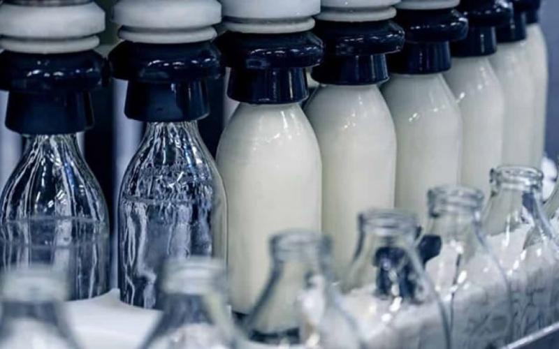 Мировой рейтинг молочной продукции: прогноз Rabobank на 2025 год Мировой рейтинг молочной продукции: прогноз Rabobank на 2025 год