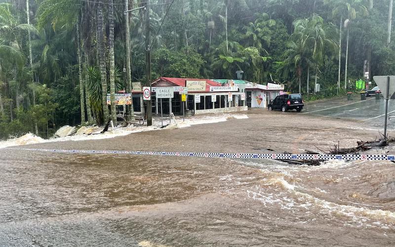Floods Paralyze Milk and Cheese Production in Portuguesa